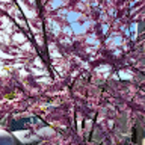 Meet your Posher, Patrice